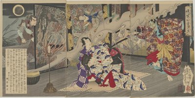  door Tsukioka Yoshitoshi