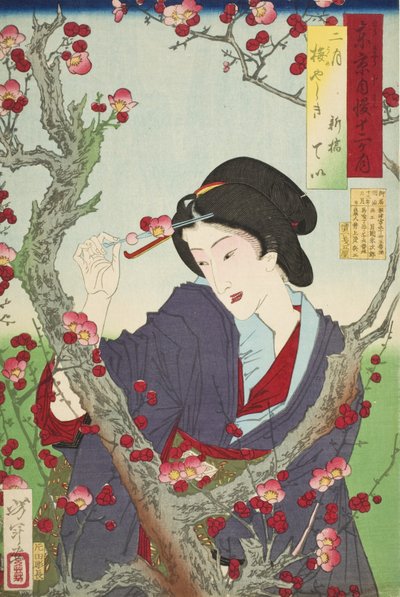  door Tsukioka Yoshitoshi