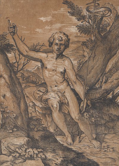 De jonge Sint-Jan de Doper in de wildernis, ca. 1520-27 door Ugo da Carpi