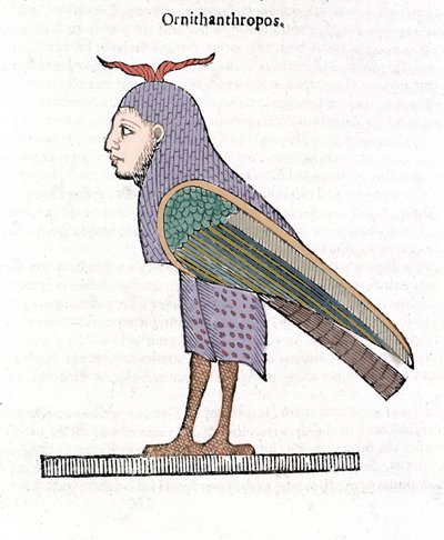 Ornithantropos. Vogel met menselijk hoofd. Ulisse Aldrovandi “De monstrorum Historia” Bologna 1642 door Ulisse Aldrovandi