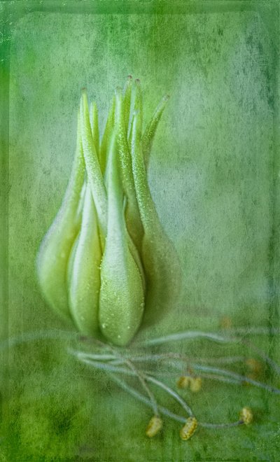  door Ulrike Eisenmann