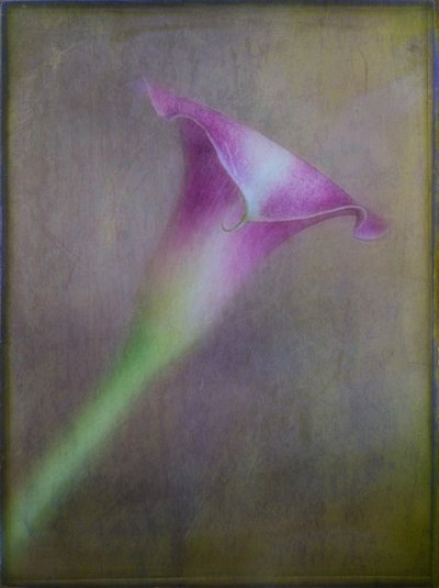  door Ulrike Eisenmann