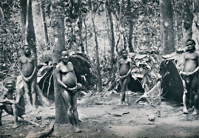 Een Pygmeeën dorp, Noordoost Congo Basin door Unbekannt