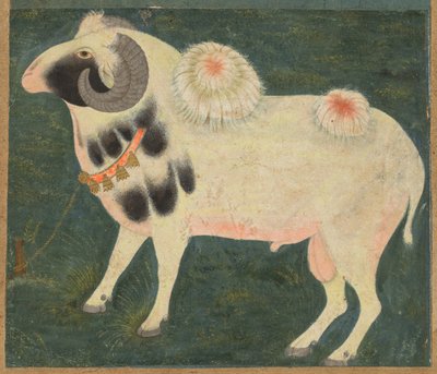 Een koninklijke ram met een gouden ketting door Unbekannt