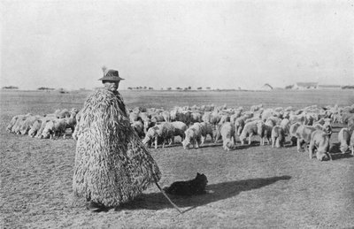 Een typische herder en zijn kudde op de vlaktes van Hongarije, 1915 door Unbekannt