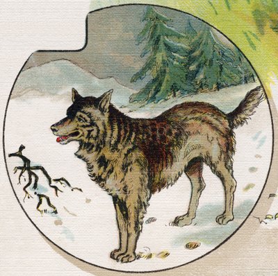 Een wolf in de sneeuw. Gravure in "ABC L