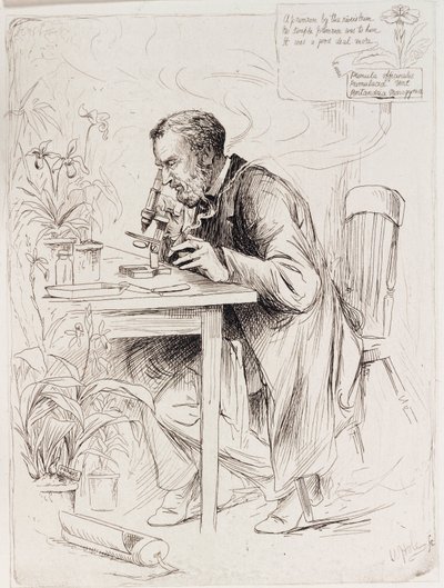 Alexander Dickson, botanicus door Unbekannt