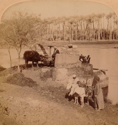 Een Egyptische Sakiyeh, Tekening van de Nijlwater voor irrigatie, Egypte, 1896 door Unbekannt