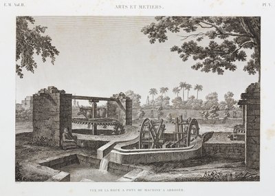 Dierkrachtwiel en emmerirrigatiesysteem, Egypte, c.1798 door Unbekannt