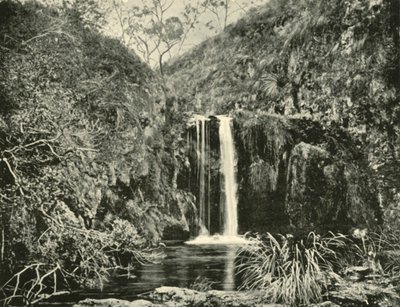 Back Creek Falls, Buchan River, Victoria, 1901 door Unbekannt