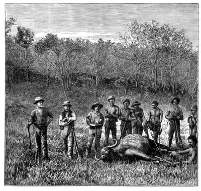 Buffeljagers in de Transvaal, Zuid-Afrika, c1890 door Unbekannt