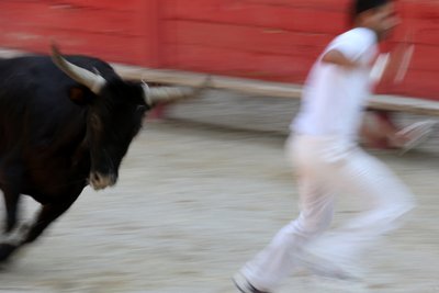 Stierenvechten (Course camarguaise). Een bloedeloos spektakel (voor de stieren) waarbij het doel is een rozet van het hoofd van een stier te pakken, Vallabregues door Unbekannt