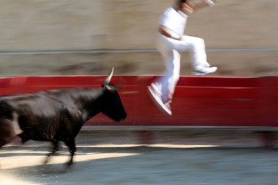 Stierenvechten (Course camarguaise). Een bloedeloos spektakel (voor de stieren) waarbij het doel is een rozet van het hoofd van een stier te pakken, Vallabregues door Unbekannt