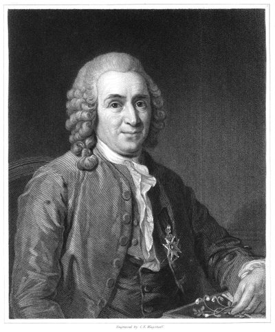 Carolus Linnaeus, 18e-eeuwse Zweedse natuuronderzoeker, 1835 door Unbekannt