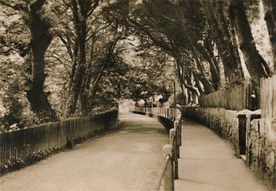 Chine Avenue, Shanklin, I.W., c1920 door Unbekannt