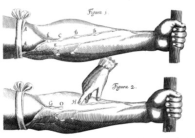 Circulatie van het bloed, 1628 door Unbekannt