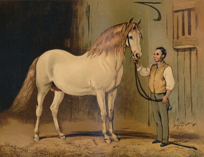 Crème staatskoetspaard. Van de stoeterij van Hare Majesteit, ca. 1879 door Unbekannt