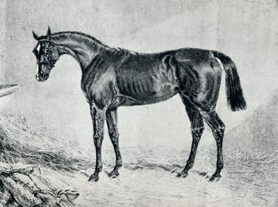 Cyprianus, 19e eeuw, 1911 door Unbekannt