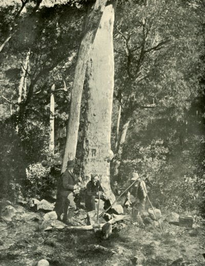 Eurobin Watervallen, Buffalo Bergen, 1901 door Unbekannt