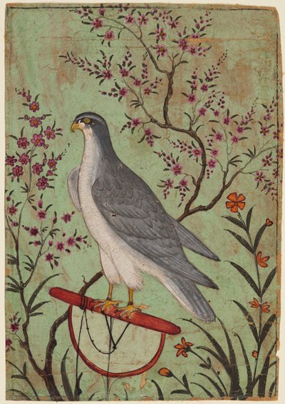 Valk op een zitstok, ca. 1610 door Unbekannt