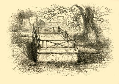 Gainsboroughs Graf, 1881 door Unbekannt