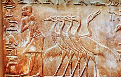 Ganzen, reliëf van de muur van het graf van Ptahhotep, Saqqara, Egypte, 24e eeuw v.Chr. door Unbekannt