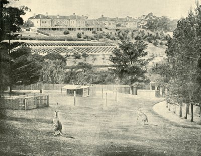 Gladesville Asylum voor de krankzinnigen, New South Wales, 1901 door Unbekannt