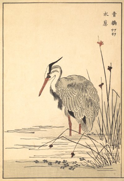 Grijze Reiger Aosagi en Mizu-aoi Plant door Unbekannt