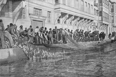 Binnenhalen van een Grippo van 15000 vissen bij Emirgian aan de Bosporus, c1901, 1903 door Unbekannt