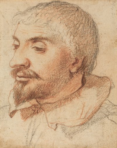 Hoofd van een man, ca. 1600 door Unbekannt