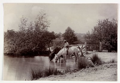 Paarden drinken bij een vijver, ca. 1890 door Unbekannt