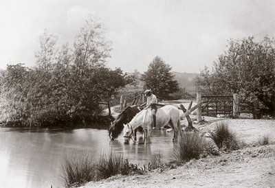 Paarden drinken bij vijver, circa 1890 door Unbekannt