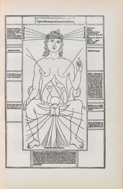 Illustratie uit Fasciculo di medicina door Johannes de Ketham, 1493 door Unbekannt