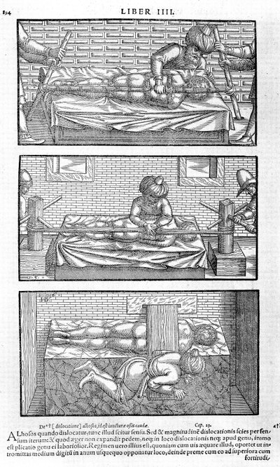 Illustratie uit Liber canonis de medicinis cordialibus door Avicenna, 1556 door Unbekannt