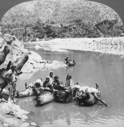 Opgeblazen stierenhuiden gebruikt als veerboten op de Sutlej-rivier, Punjab, India, c1900s door Unbekannt