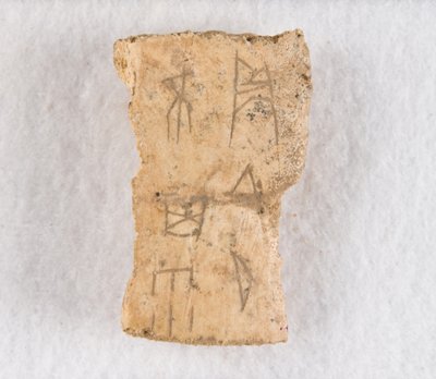 Ingeschreven botfragment orakelbot, Late Shang-dynastie, ca. 1300-1050 v.Chr. door Unbekannt