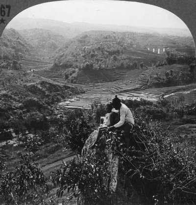Java, Indonesië door Unbekannt