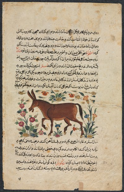 Khar Ezel, uit een Nuzhat-nama-yi alai Excellent Boek van Raad..., 1400s door Unbekannt
