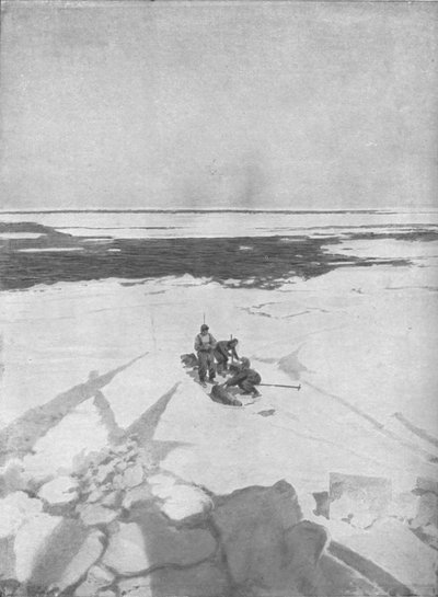 Zeehonden doden, 1911, 1928 door Unbekannt