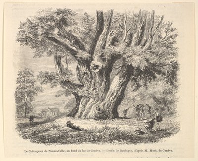 Le Châtaignier de Neuve-Celle, aan de oever van het Meer van Genève, naar Daubigny door Unbekannt