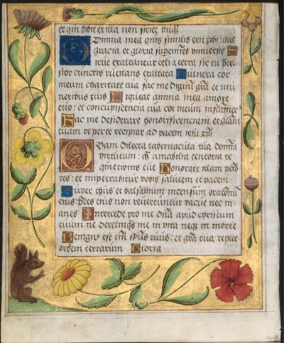 Blad uit een Psalter en Gebedenboek: Sierlijke Rand met Bloemen en Eekhoorn verso, ca. 1524 door Unbekannt