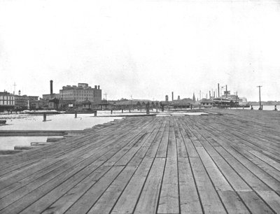 Levee en stoombootlanding, New Orleans, Louisiana, VS door Unbekannt