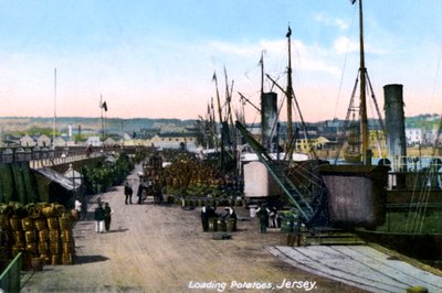 Aardappelen Laden, Jersey, 1908 door Unbekannt