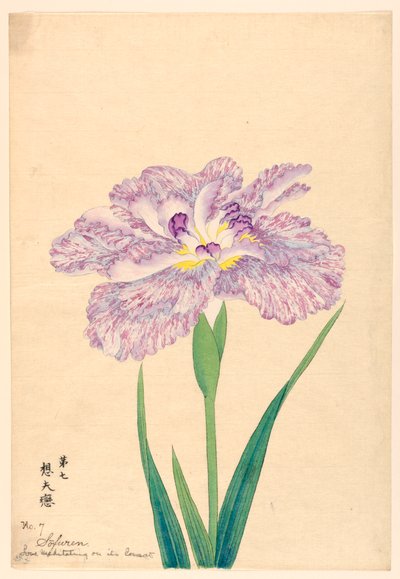 Liefde Mediterend op Zijn Metgezel (Sofuren), nr. 7, ca. 1910 door Unbekannt