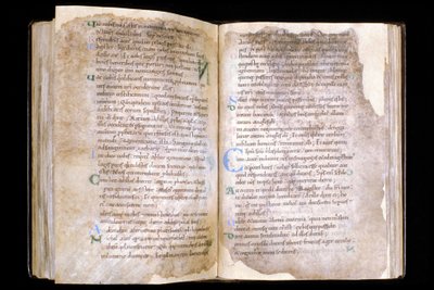 Manche N* 066, Stad Mortain, Schat van de collegiale Saint Evroult, Evangeliaire van de 10e eeuw door Unbekannt