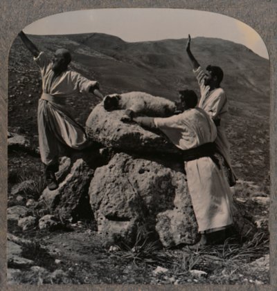 Offerlam op het altaar, Moreh, ca. 1900 door Unbekannt