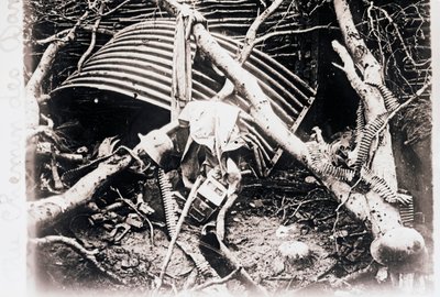 Op de Chemin des Dames, Noord-Frankrijk, ca. 1914-1918 door Unbekannt