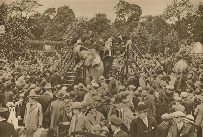 Een van de tekenen van onze beschaving: goed gevulde dierentuinen om de nieuwsgierigen te verrassen, ca. 193 door Unbekannt