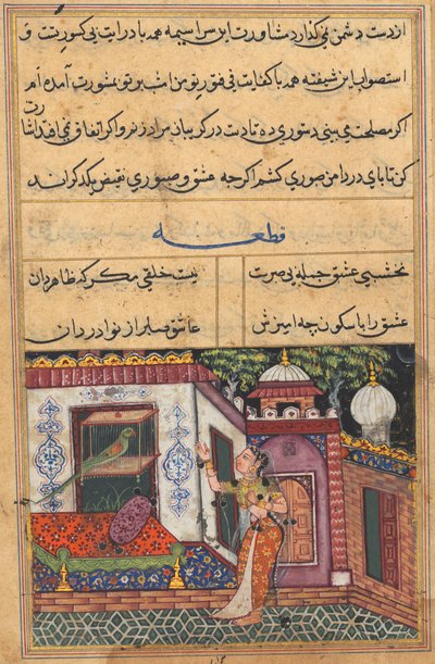Pagina uit Verhalen van een papegaai Tuti-nama: Elfde nacht: De papegaai spreekt Khujasta toe..., ca. 1560 door Unbekannt