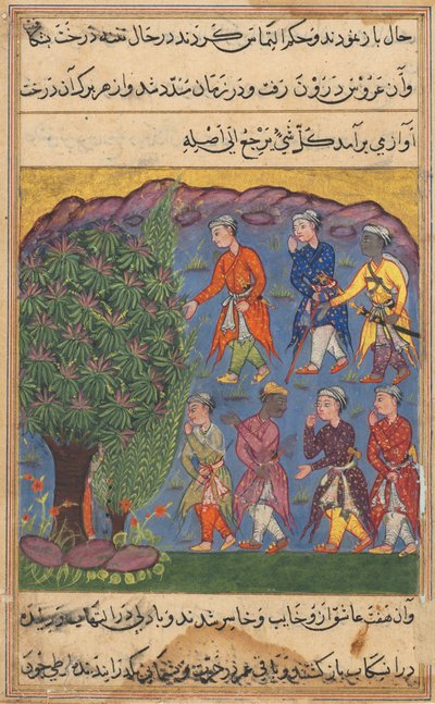 Pagina uit Verhalen van een Papegaai Tuti-nama: Zesde nacht: Zeven mannen die bezit betwisten..., ca. 1560 door Unbekannt
